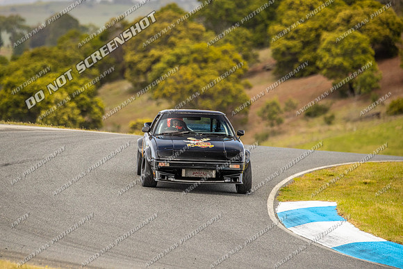 Muscle Car Cup - 74 - Baskerville Historics 2024-5
