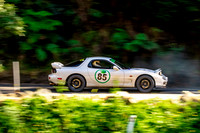 85 - Sunday GS-4