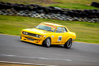 14 - Muscle Car Cup Over 3501cc-17