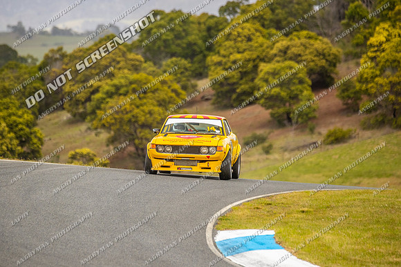 Muscle Car Cup - 14 - Baskerville Historics 2024-3