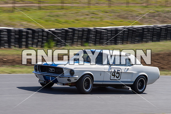 45 Milan Zizek Ford Mustang Group N Over 3 Litre - Friday Practice