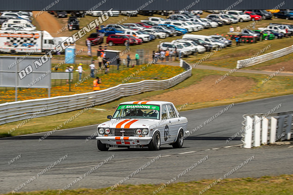 Group Nb & Nc Touring Cars - 73 - Baskerville Historics 2024-6