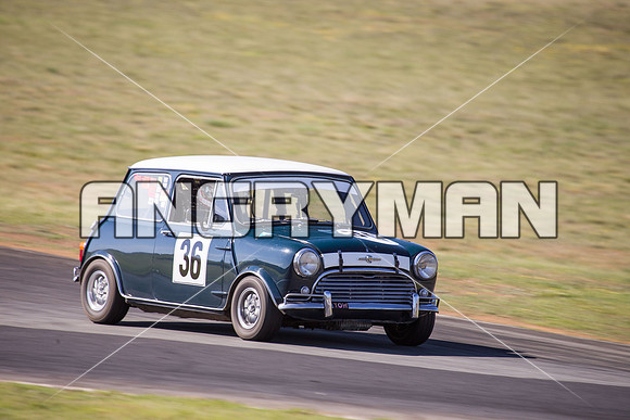 36 Cameron Sabine - Morris Cooper S - Group N Under Three Litre - Sunday