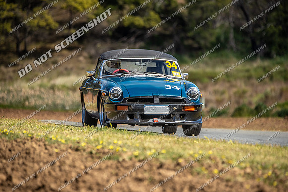Regularity Sports & Racing & Invited - 34 - Baskerville Historics 2024-11