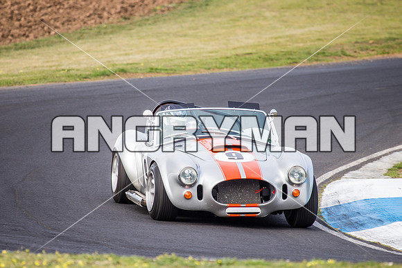 9 Michael Baier Cobra Regularity Sports & Racing Cars Group 2 - Saturday-12