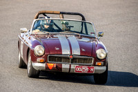 82 - Regularity - Marque Sportscars & Invited-7