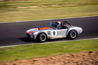 9 Armin Baier - Cobra - Regularity Sports & Racing Cars - Saturday-5