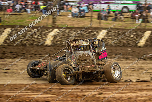 Wingless 42 T42 - Friday-5