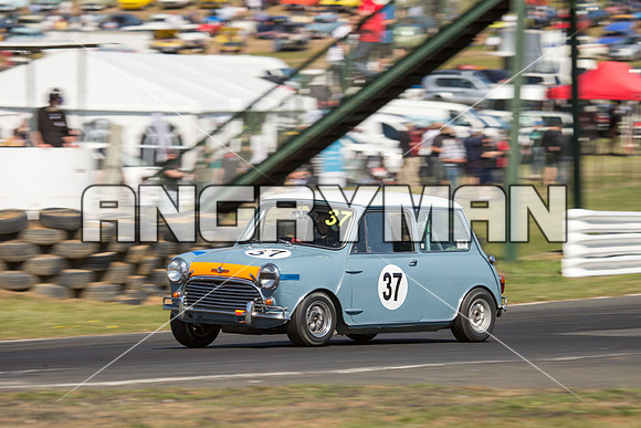 37 Henry Draper - Morris Cooper S - Group N Under Three Litre - Sunday-5