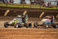 Wingless 87 T87 - Friday-4