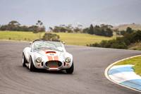 9 Michael Baier Cobra Regularity Sports & Racing Cars Group 2 - Saturday-4