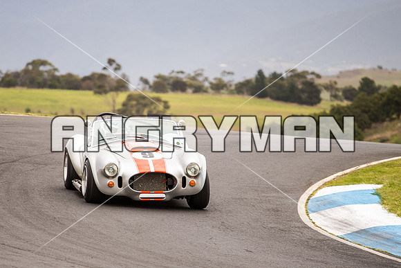 9 Michael Baier Cobra Regularity Sports & Racing Cars Group 2 - Saturday-4