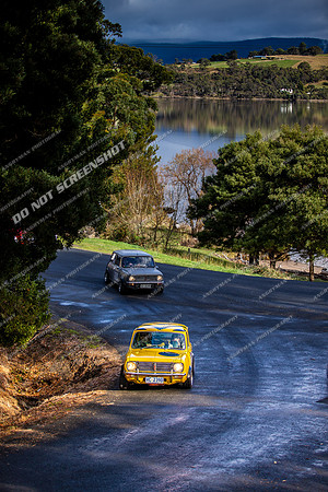 MINI TOUR - TS32 - CYGNET - SS