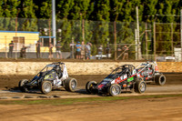 Wingless 4 T4 - 13 - Hobart - 11th Feb 2023-3