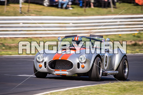 9 Armin Baier - Cobra - Regularity Sports & Racing Cars - Sunday-3