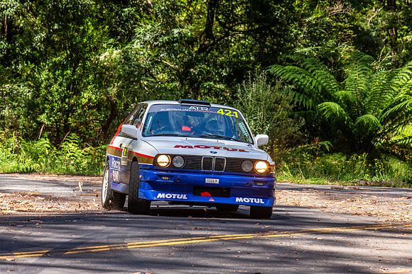 421 - SS11