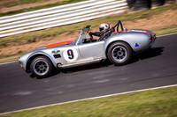 9 Armin Baier - Cobra - Regularity Sports & Racing Cars - Saturday-3