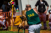 - WoodChopping-7