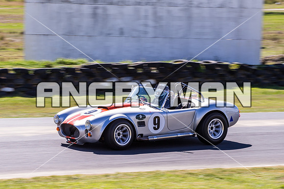 9 Michael Baier Cobra Regularity Sports & Racing Cars Group 2 - Saturday-7