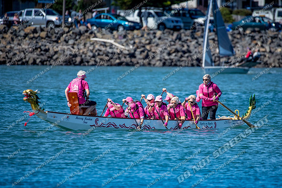 Dragon Boat Misc - Devonport Regatta 2018-4