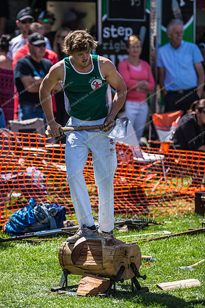 - WoodChopping-26