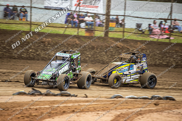 Wingless 5 T5 - Friday-2