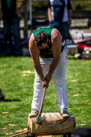 - WoodChopping-14