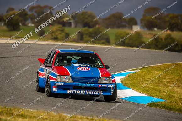 Muscle Car Cup - 55 - Baskerville Historics 2024-16