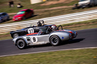 9 Armin Baier - Cobra - Regularity Sports & Racing Cars - Saturday-4