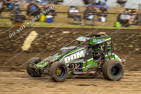 Wingless 5 T5 - Friday-5