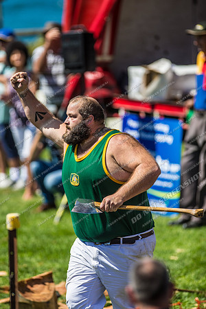 - WoodChopping-22