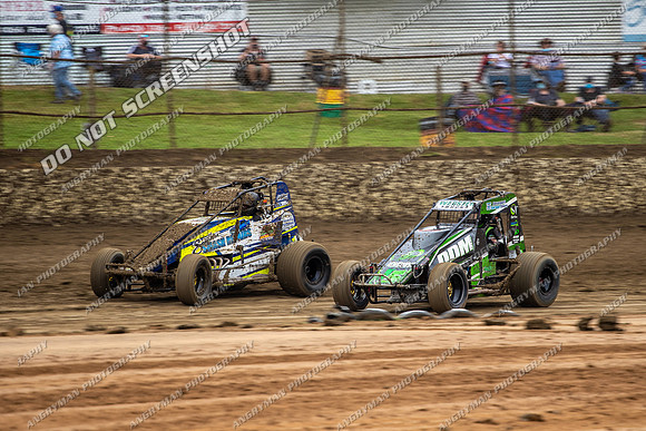 Wingless 5 T5 - Friday-3