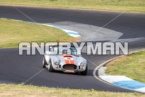 9 Michael Baier Cobra Regularity Sports & Racing Cars Group 2 - Saturday-10