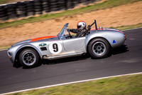 9 Armin Baier - Cobra - Regularity Sports & Racing Cars - Saturday-2