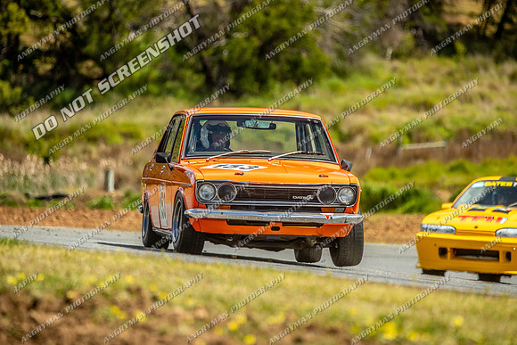 Baskerville Classic Sprints - 153 - Baskerville Historics 2024-11