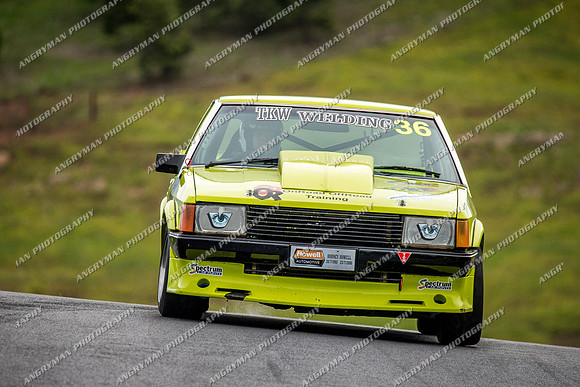Muscle Car Cup Over 3501cc - 36 Kodie Madden - Sunday - 2nd October 2016-12