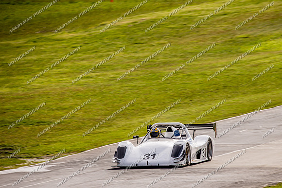 Regularity - Sports & Racing Cars & Invited - 31 Brendan Diprose - Sunday - 2nd October 2016-2