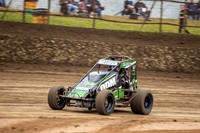 Wingless 5 T5 - Friday