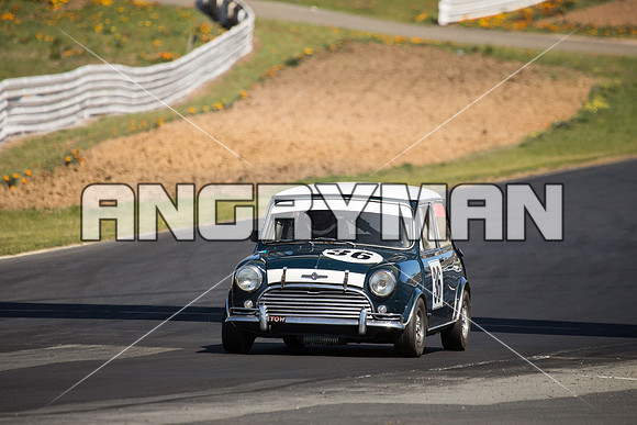 36 Cameron Sabine - Morris Cooper S - Group N Under Three Litre - Sunday-5