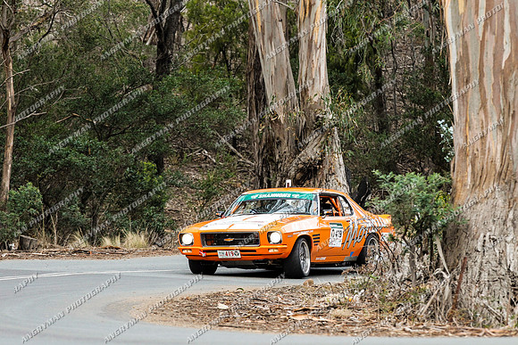 419 - 5 - Grasstree Hill - RM