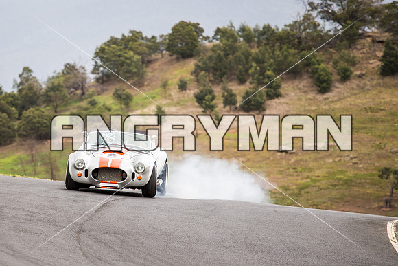 9 Michael Baier Cobra Regularity Sports & Racing Cars Group 2 - Saturday