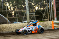 Wingless T22