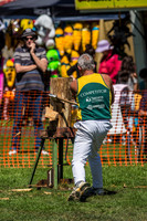 - WoodChopping-11