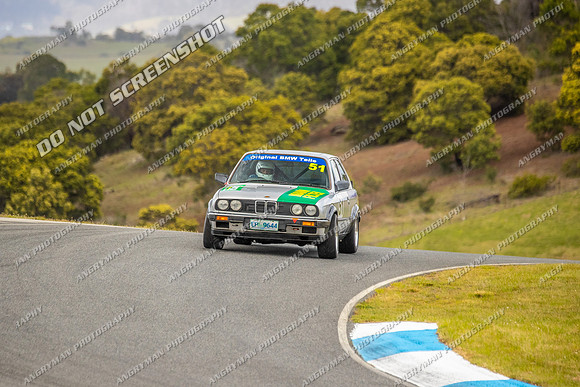 Muscle Car Cup - 51 - Baskerville Historics 2024-3