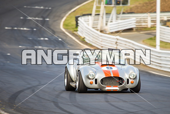9 Michael Baier Cobra Regularity Sports & Racing Cars Group 2 - Sunday-3