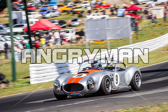 9 Armin Baier - Cobra - Regularity Sports & Racing Cars - Sunday-4