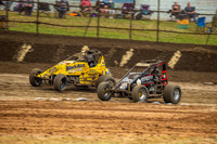 Wingless 26 T26 - Friday-6