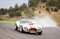 9 Michael Baier Cobra Regularity Sports & Racing Cars Group 2 - Saturday-2