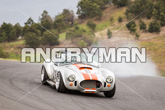9 Michael Baier Cobra Regularity Sports & Racing Cars Group 2 - Saturday-2