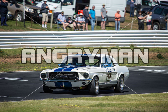 45 Milan Zizek - Ford Mustang - Group N Over Three Litre - Sunday